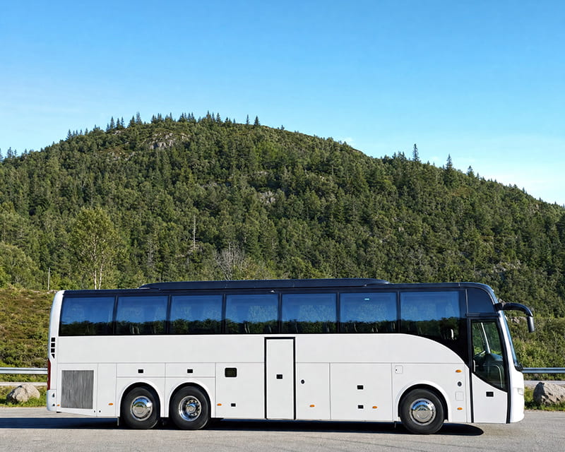 Bussirent Eestis