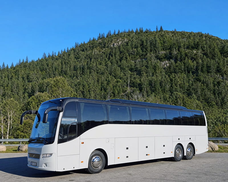 Bussirent Eestis